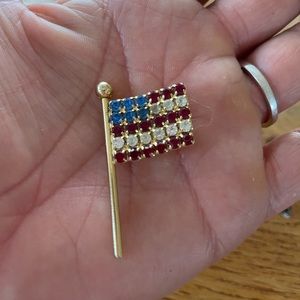 Crystal flag pin